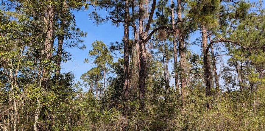 Terreno en Indian lake estates, Florida № 2108912
