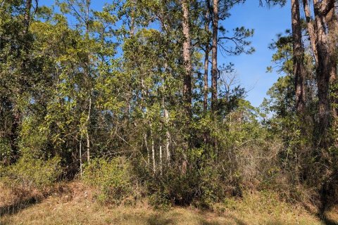 Terreno en venta en Indian lake estates, Florida № 2108912 - foto 3