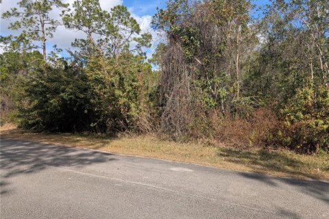 Terreno en venta en Indian lake estates, Florida № 2108912 - foto 4