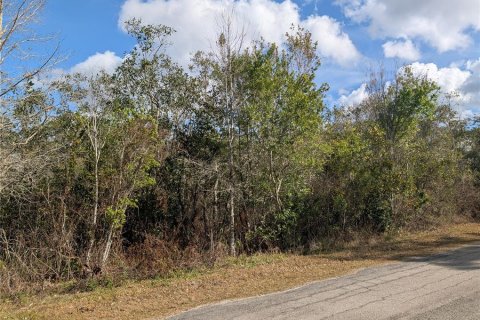 Terreno en venta en Indian lake estates, Florida № 2108912 - foto 5
