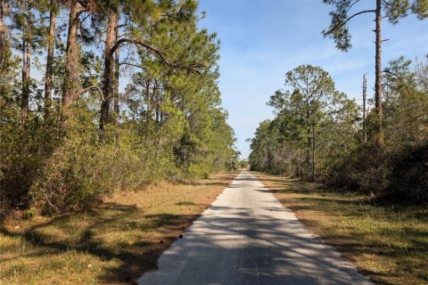 Terreno en venta en Indian lake estates, Florida № 2108912 - foto 6