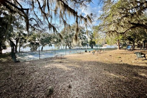 Land in Salt Springs, Florida № 2195523 - photo 7