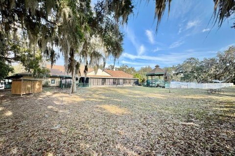 Land in Salt Springs, Florida № 2195523 - photo 4
