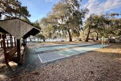 Land in Salt Springs, Florida № 2195523 - photo 5