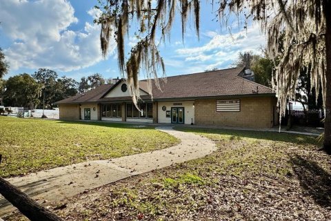 Land in Salt Springs, Florida № 2195523 - photo 3