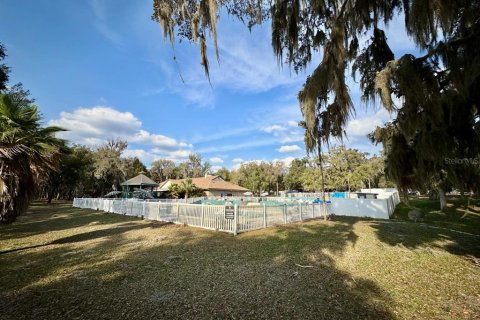 Land in Salt Springs, Florida № 2195523 - photo 10