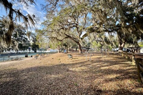 Land in Salt Springs, Florida № 2195523 - photo 6