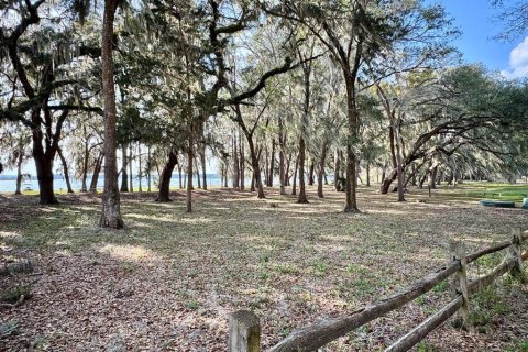 Land in Salt Springs, Florida № 2195523 - photo 12