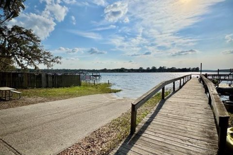 Land in Salt Springs, Florida № 2195523 - photo 9