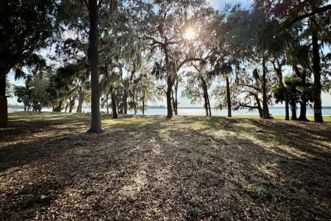 Land in Salt Springs, Florida № 2195523 - photo 11