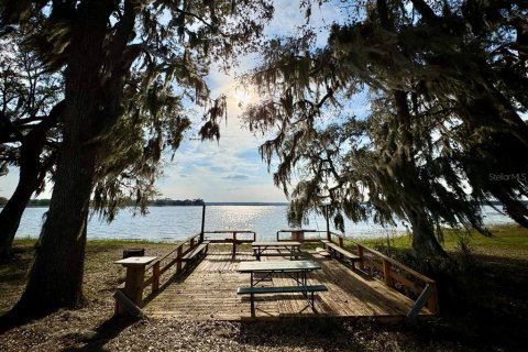 Land in Salt Springs, Florida № 2195523 - photo 2