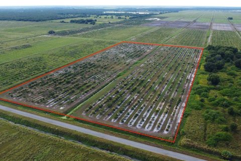 Land in Punta Gorda, Florida № 1916861 - photo 7
