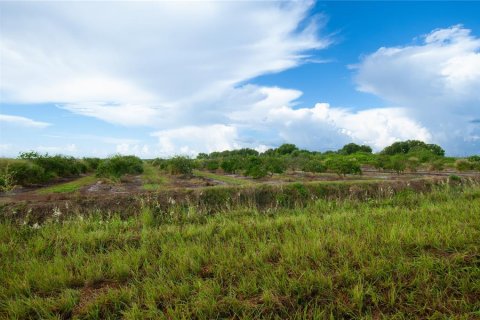 Land in Punta Gorda, Florida № 1916861 - photo 3