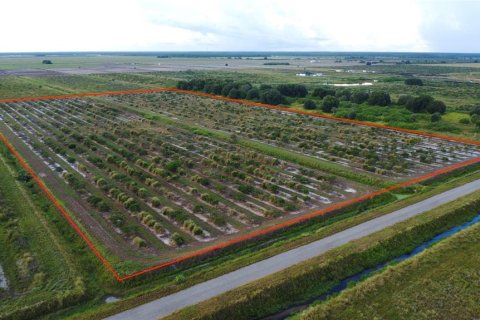 Land in Punta Gorda, Florida № 1916861 - photo 2