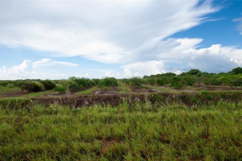 Land in Punta Gorda, Florida № 1916861 - photo 4