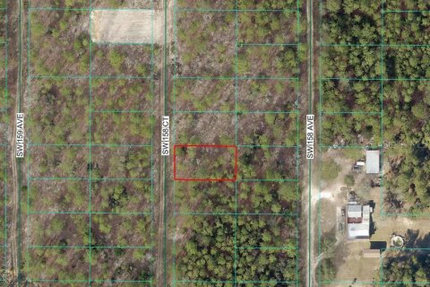 Land in Ocala, Florida № 2165425 - photo 2