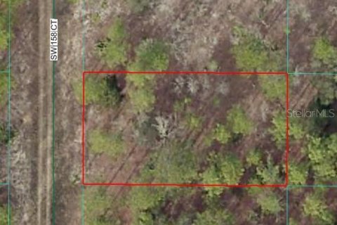 Land in Ocala, Florida № 2165425