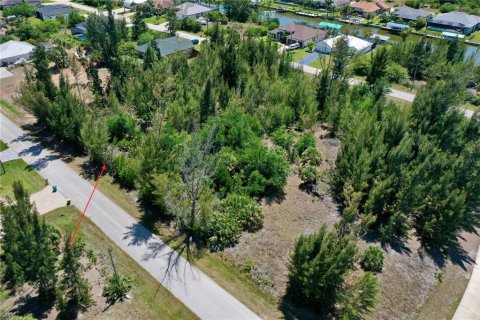 Land in Port Charlotte, Florida № 2166759 - photo 7