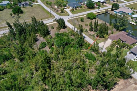 Land in Port Charlotte, Florida № 2166759 - photo 10