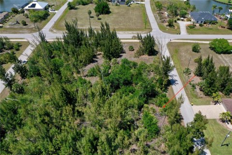 Land in Port Charlotte, Florida № 2166759 - photo 9