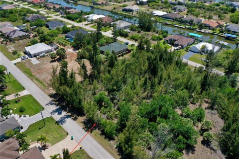 Land in Port Charlotte, Florida № 2166759 - photo 6