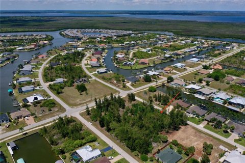 Land in Port Charlotte, Florida № 2166759 - photo 5