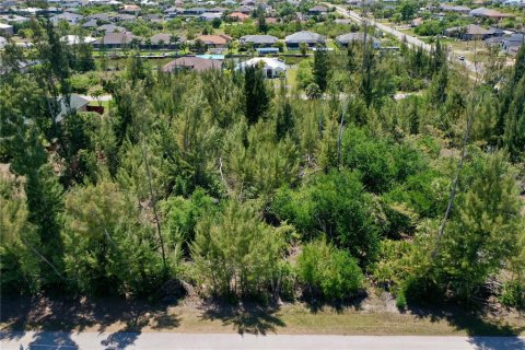 Land in Port Charlotte, Florida № 2166759