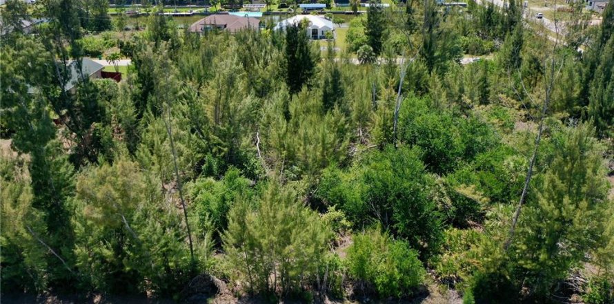 Land in Port Charlotte, Florida № 2166759