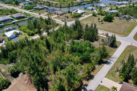 Land in Port Charlotte, Florida № 2166759 - photo 11