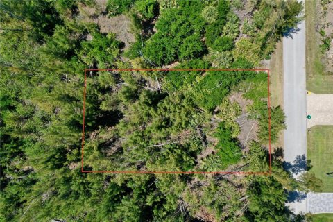 Land in Port Charlotte, Florida № 2166759 - photo 2