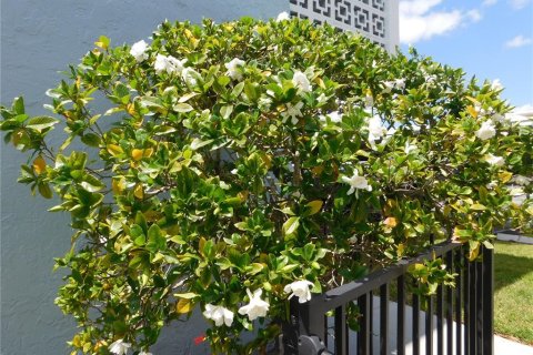 Condominio en venta en Saint Petersburg, Florida, 2 dormitorios, 96.15 m2 № 1722730 - foto 4