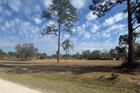 Terrain à Clewiston, Floride № 2023876