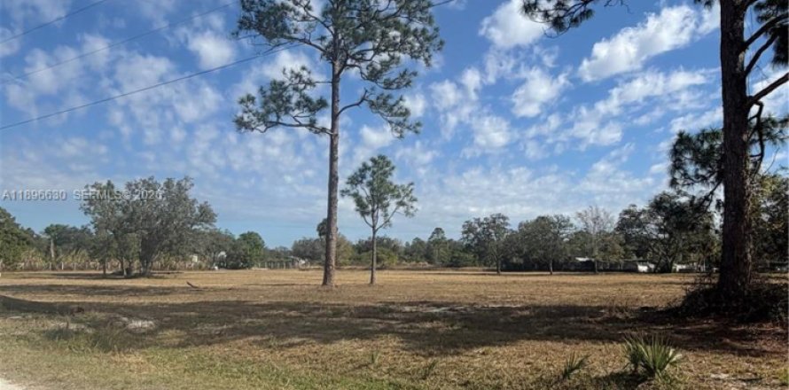 Terrain à Clewiston, Floride № 2023876