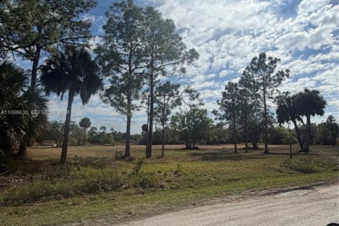 Terrain à vendre à Clewiston, Floride № 2023876 - photo 2