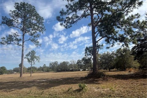 Terrain à vendre à Clewiston, Floride № 2023876 - photo 3
