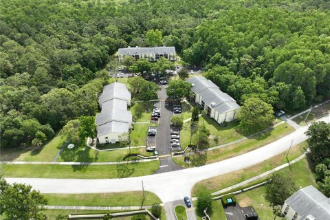 Condo in Tarpon Springs, Florida, 2 bedrooms  № 1799712 - photo 30