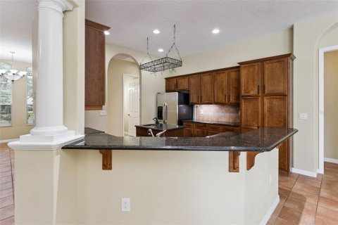 Villa ou maison à vendre à Fruitland Park, Floride: 3 chambres, 274.53 m2 № 2413608 - photo 19