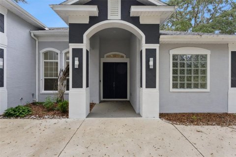 Villa ou maison à vendre à Fruitland Park, Floride: 3 chambres, 274.53 m2 № 2413608 - photo 3