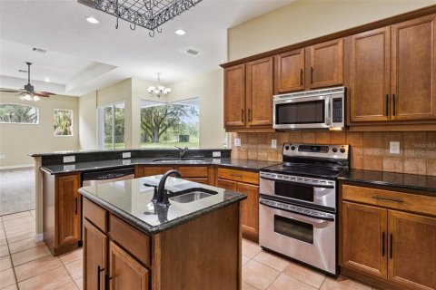 Villa ou maison à vendre à Fruitland Park, Floride: 3 chambres, 274.53 m2 № 2413608 - photo 17