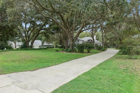 Villa ou maison à vendre à Fruitland Park, Floride: 3 chambres, 274.53 m2 № 2413608 - photo 2