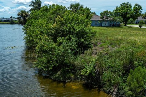 Land in Cape Coral, Florida № 1916303 - photo 14