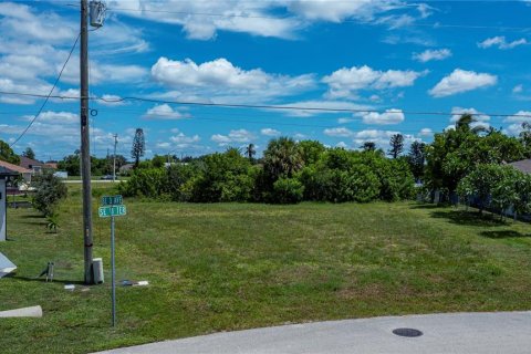 Land in Cape Coral, Florida № 1916303 - photo 28