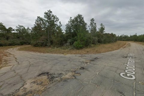 Terrain à Chipley, Floride № 2228693