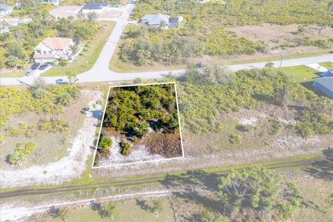 Land in Port Charlotte, Florida № 2160780 - photo 7