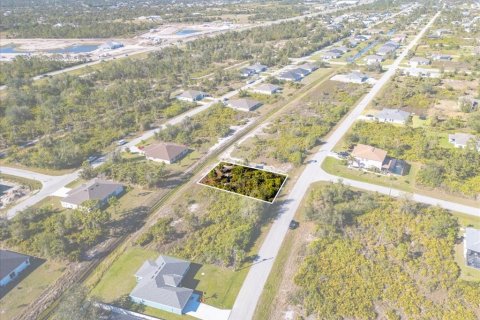 Land in Port Charlotte, Florida № 2160780