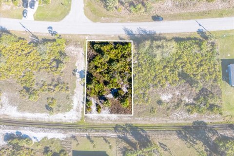 Land in Port Charlotte, Florida № 2160780 - photo 6