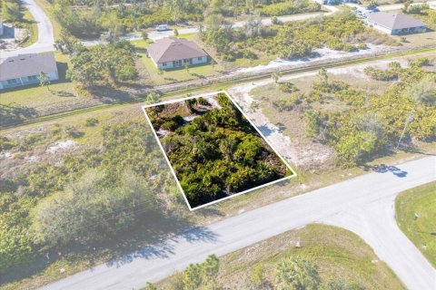 Land in Port Charlotte, Florida № 2160780 - photo 5