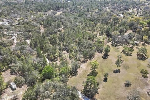 Land in Brooksville, Florida № 1876862 - photo 4