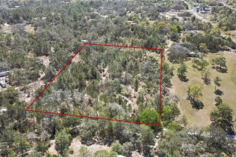 Land in Brooksville, Florida № 1876862 - photo 1