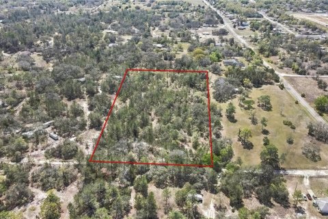 Land in Brooksville, Florida № 1876862 - photo 3